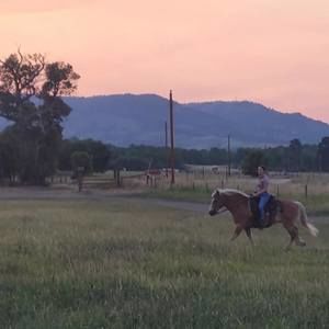 Meet your Posher, Ruthi